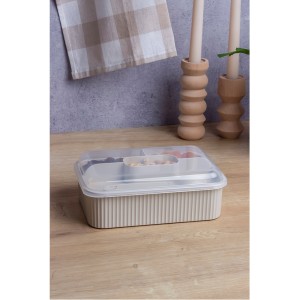 Striped Lunch Box  With Spoon & Fork