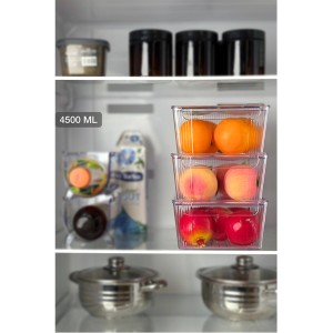Maxi Organizer No.2 with Lid (4500ML)